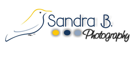 Sandra B Photography